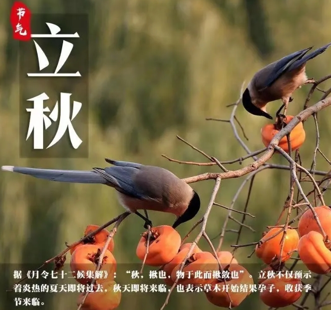微信截圖_20240806155422.png