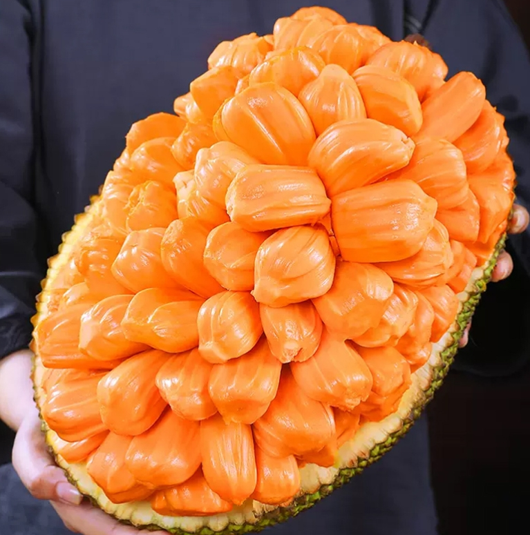 微信截圖_20240827111317.png